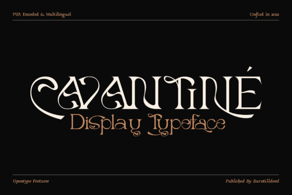 Cavantine Font: A Designer’s Go-To Serif Typeface for Stylish Web Projects