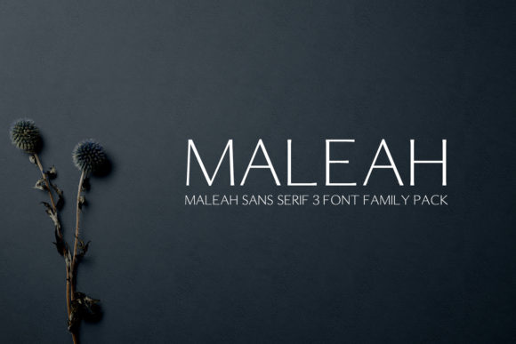 Maleah Font: A Polished Typeface for Professional Branding