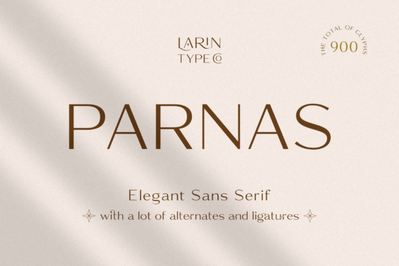 Parnas Sans: A Typeface That Elevates Digital Design