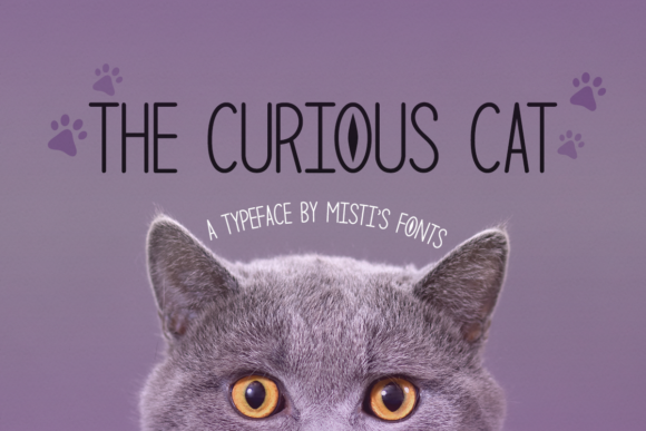The Curious Cat Typeface: A Minimalist Font for Craft Creators
